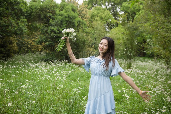 金钱草高清图片带您领略草本植物的神奇